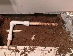 苏州测漏水哪家好