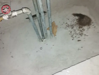 苏州卫生间测漏水价格明细