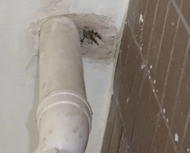 苏州漏水检测哪家好